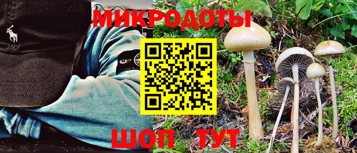 Галлюциногенные грибы прущие грибы Когалым