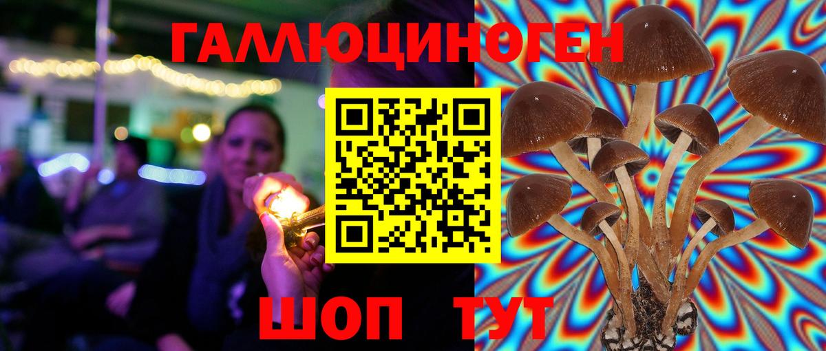Галлюциногенные грибы GOLDEN TEACHER  Псилоцибиновые грибы Cubensis  Вход с VPN  Когалым 